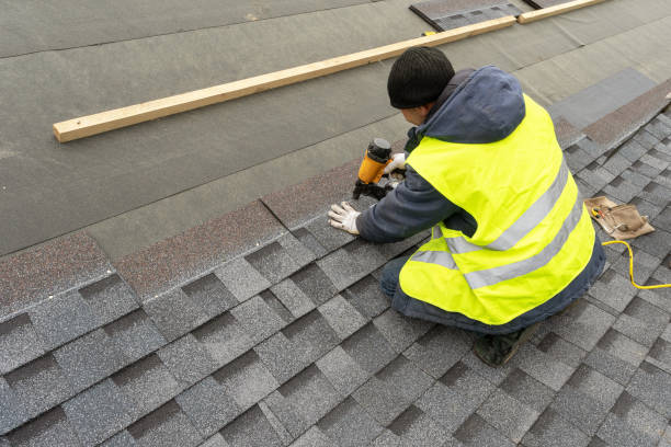 Best Gutter Replacement  in Perry, GA